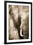African Animals I - Sepia-Eric Yang-Framed Art Print