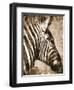 African Animals II - Sepia-Eric Yang-Framed Art Print