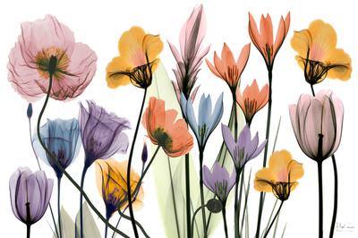 Art Print, , small