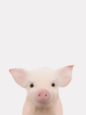 Art Print, , small