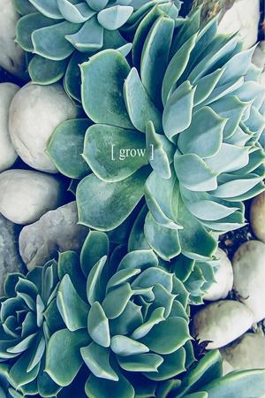 Art Print, , small