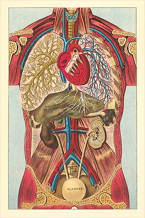 Art Print, , small