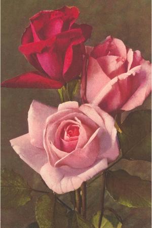 Art Print, , small