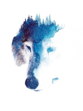 Art Print, , small