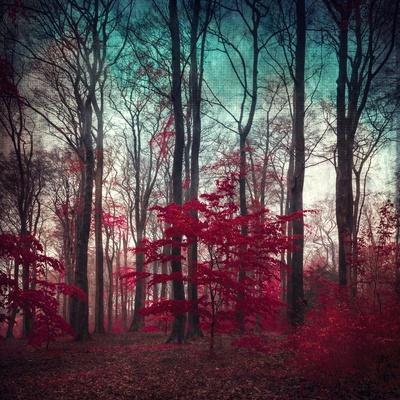 Art Print, , small