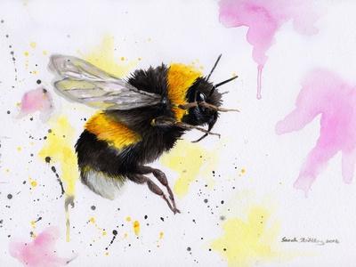 Art Print, , small