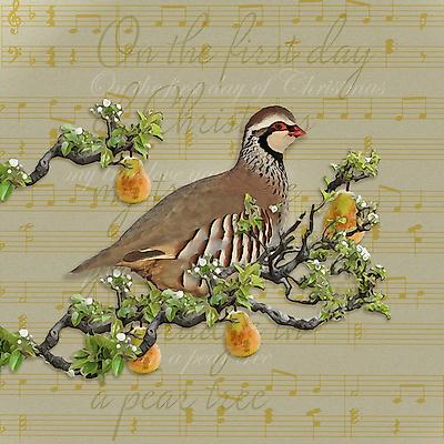 Giclee Print, , small