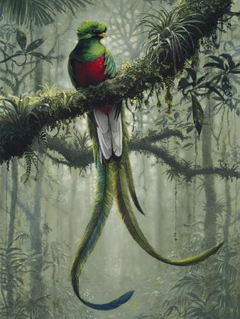 Giclee Print, , small