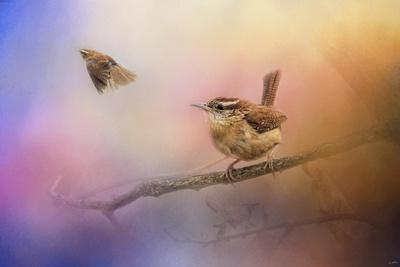 Giclee Print, , small