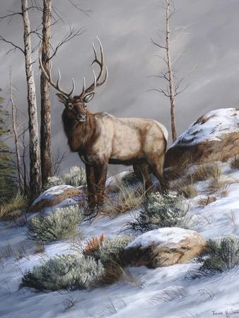 Giclee Print, , small