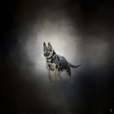 Giclee Print, , small