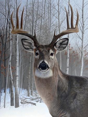 Giclee Print, , small