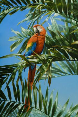 Giclee Print, , small