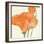 Sunshine Poppy IV-Chris Paschke-Framed Art Print