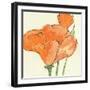 Sunshine Poppy IV-Chris Paschke-Framed Art Print