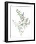 Eucalyptus II White-Danhui Nai-Framed Art Print