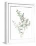 Eucalyptus II White-Danhui Nai-Framed Art Print