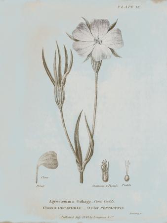 Art Print, , small