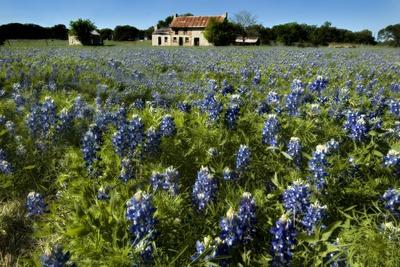 Photographic Print, , small