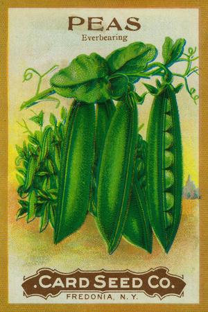 Art Print, , small