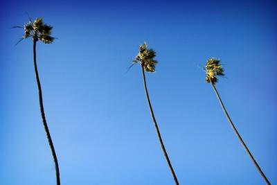 Photographic Print, , small