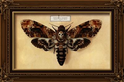 Art Print, , small
