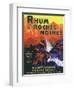 Rhum des Roches Noires Brand Rum Label-Lantern Press-Framed Art Print
