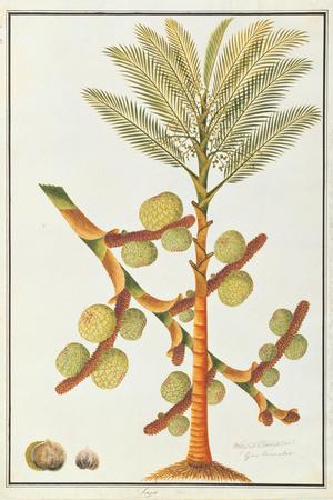 Giclee Print, , small