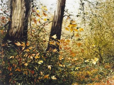 Giclee Print, , small