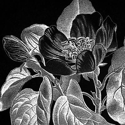 Giclee Print, , small