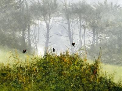 Giclee Print, , small