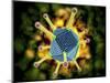 Microscopic View of the Common Cold Virus-null-Mounted Art Print
