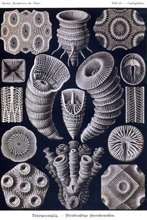 Art Print, , small