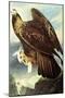 Golden Eagle-John James Audubon-Mounted Art Print
