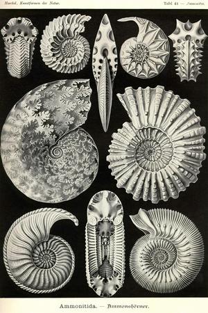 Art Print, , small
