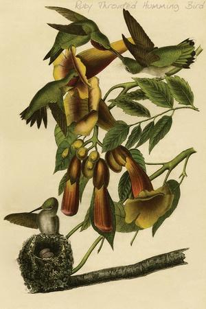 Art Print, , small
