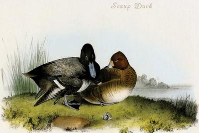 Art Print, , small