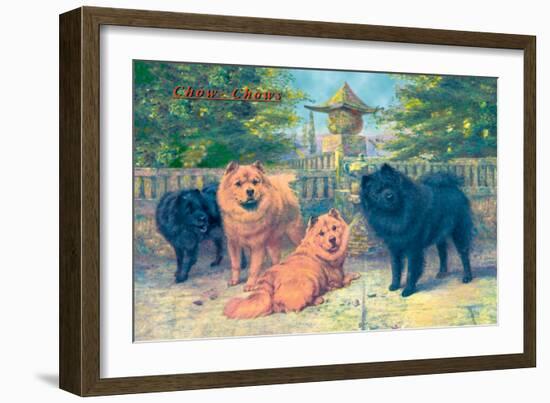 Four Champion Chow-Chows-null-Framed Art Print