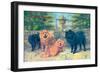 Four Champion Chow-Chows-null-Framed Art Print