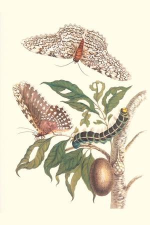 Art Print, , small