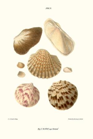 Art Print, , small