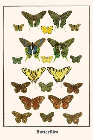 Art Print, , small