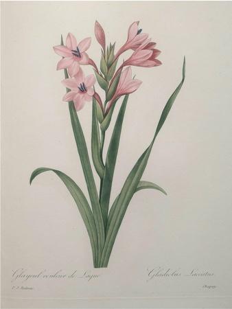 Art Print, , small