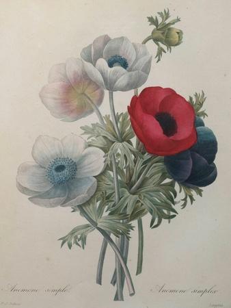 Art Print, , small