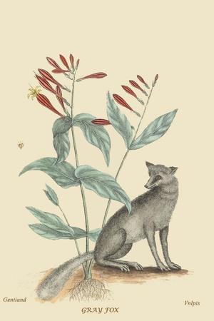Art Print, , small