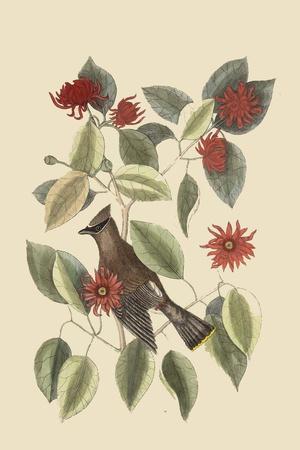 Art Print, , small