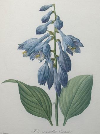Art Print, , small