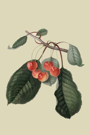 Art Print, , small