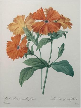 Art Print, , small