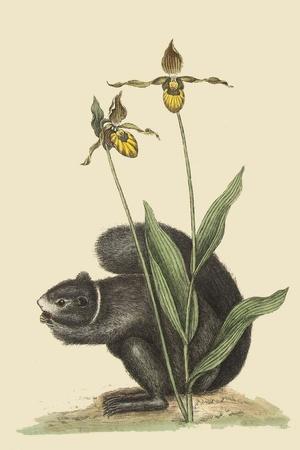 Art Print, , small